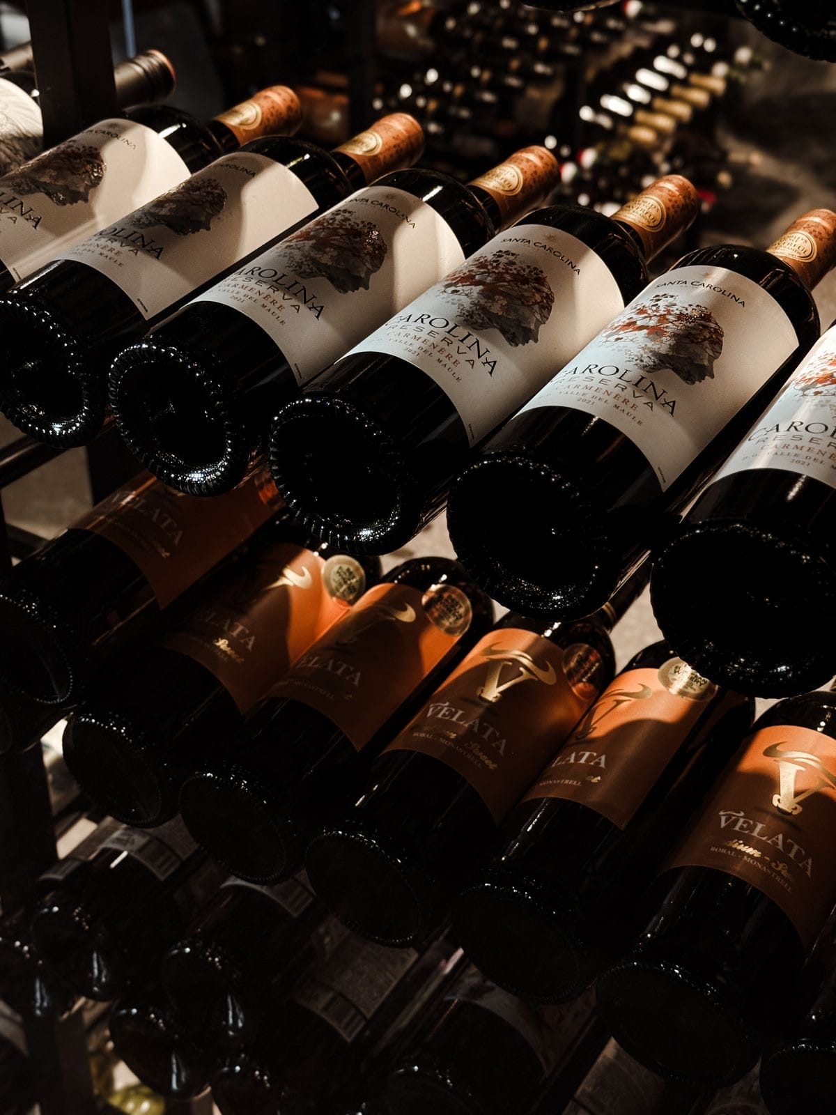 Your Complete Guide on How to Choose Wine